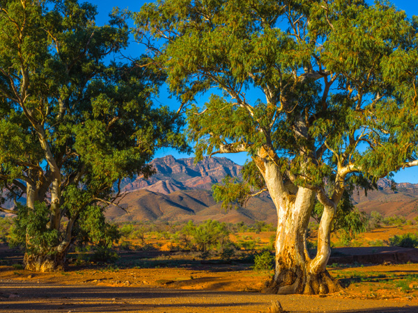 SA - South Australia